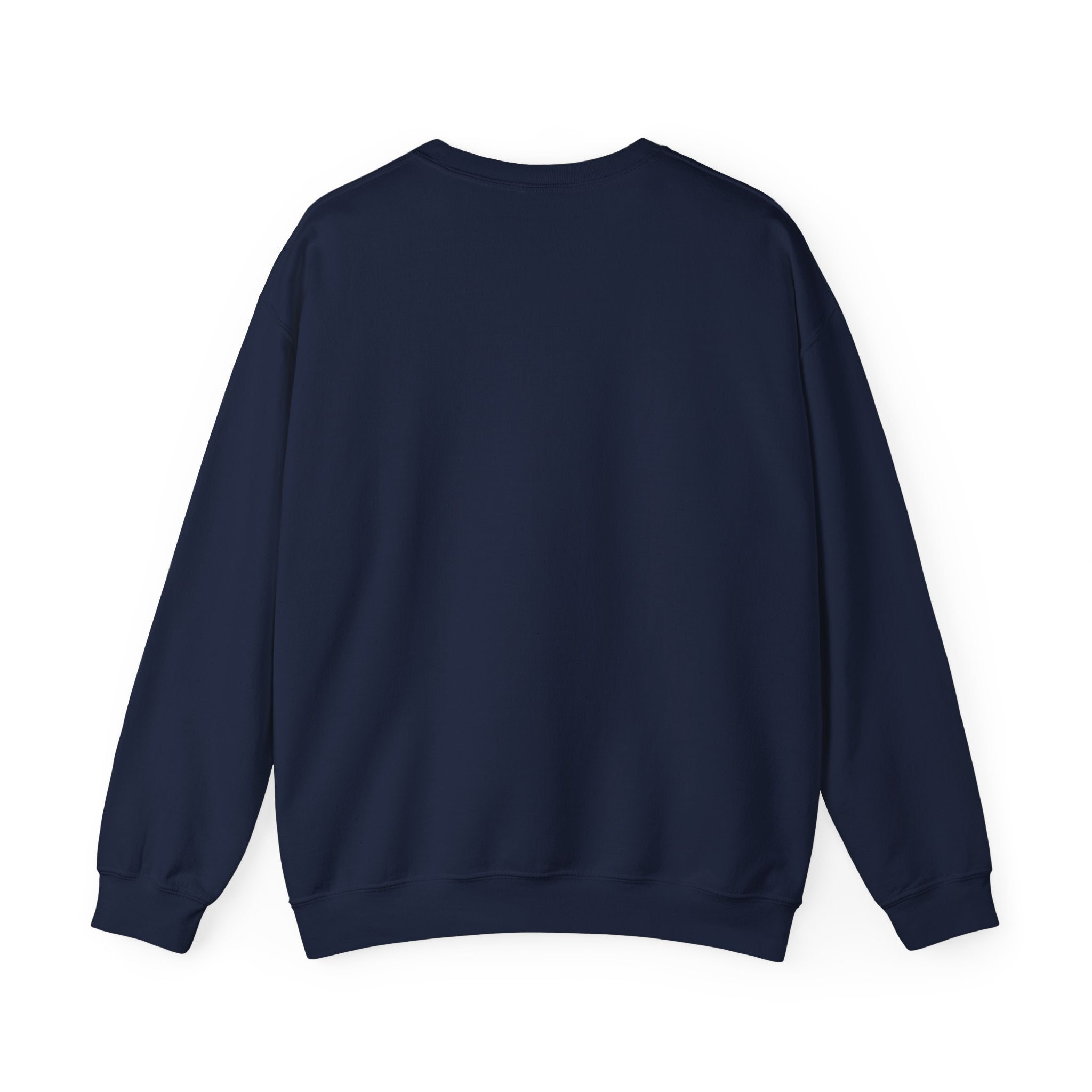Deep Space Contingency Crew Patch Sweatshirt | hard sci‑fi, mission patch