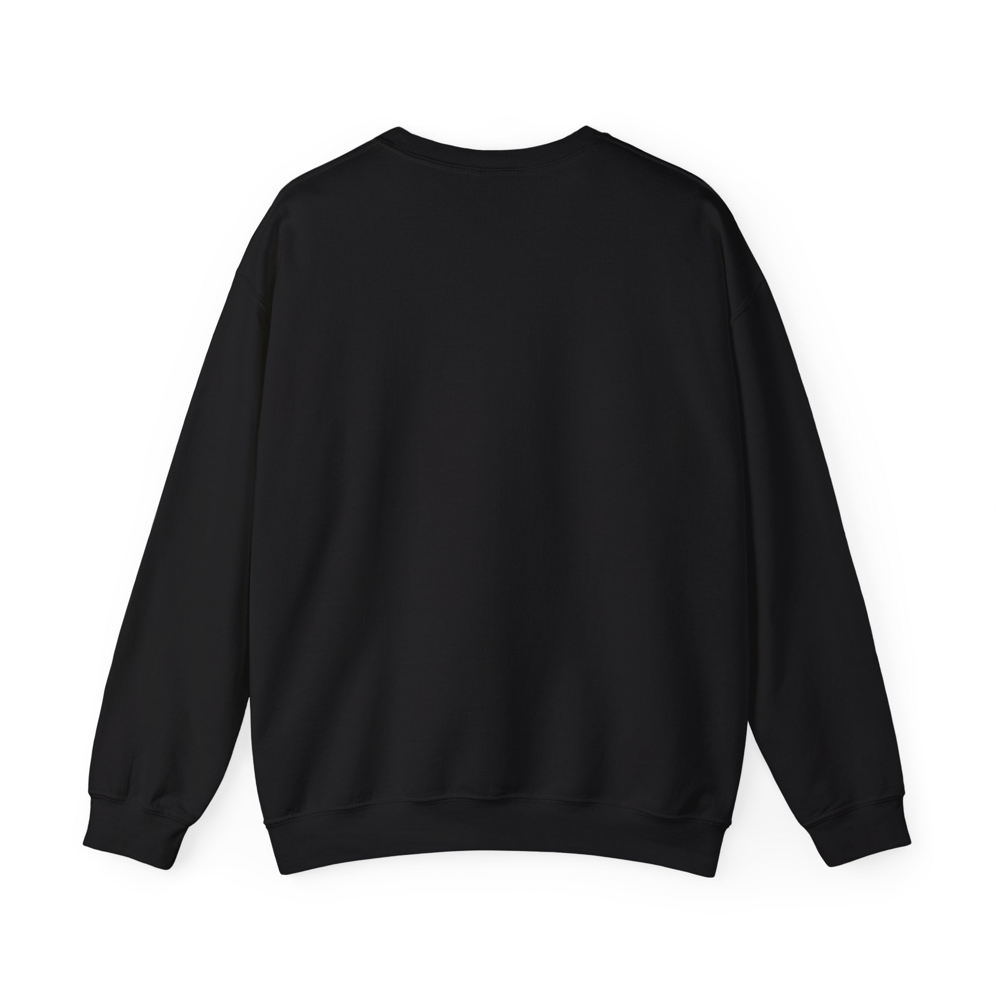 Deep Space Contingency Crew Patch Sweatshirt | hard sci‑fi, mission patch